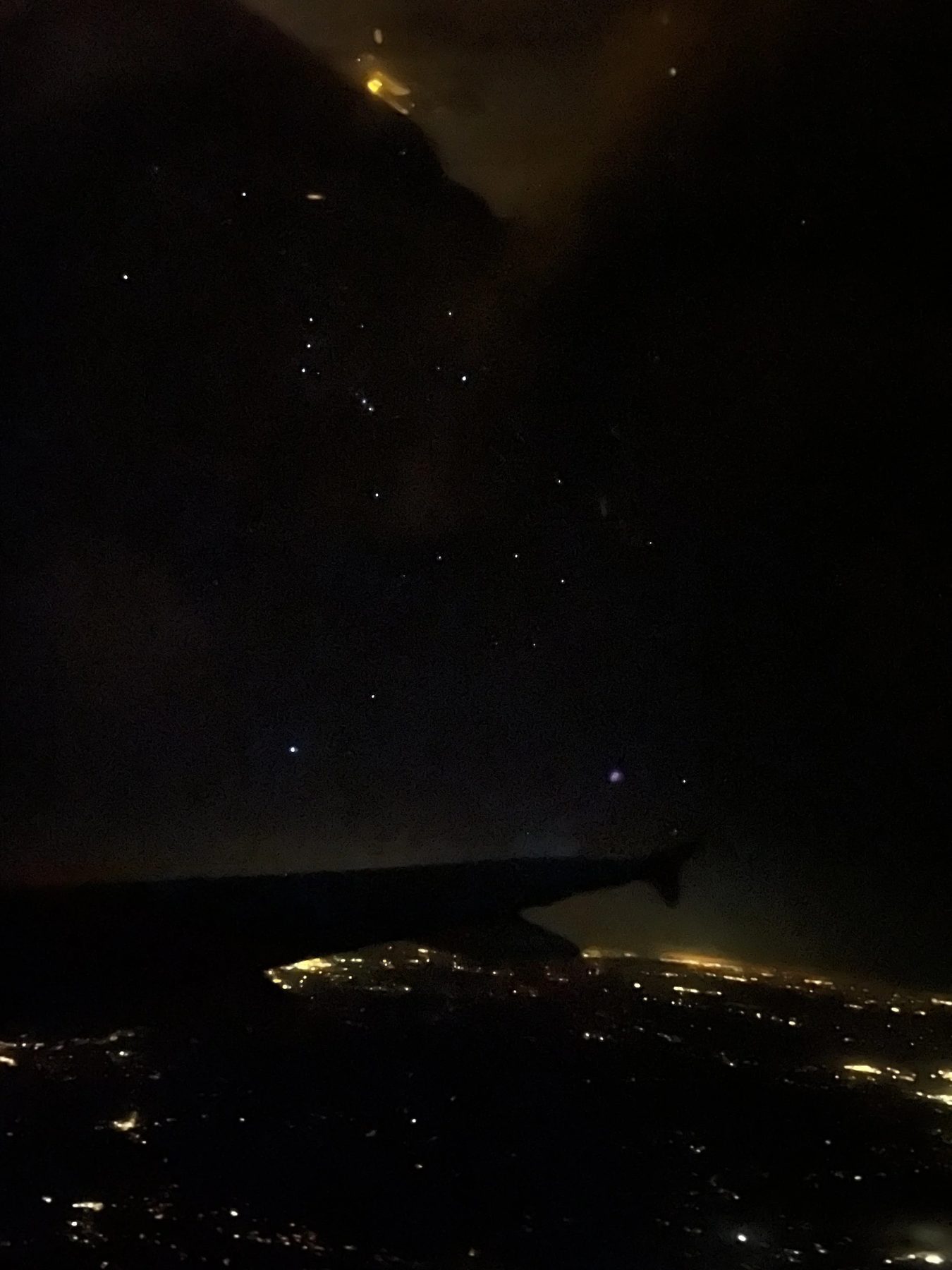 Aesthetics & Nature — Nelly Creative Studios Journal