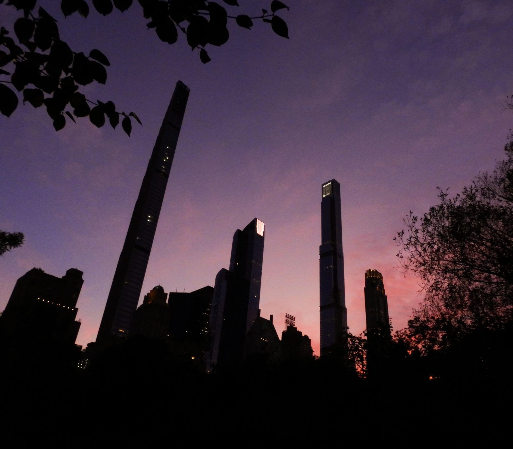 A Day in the Life of Nelly — Nelly Creative Studios Journal