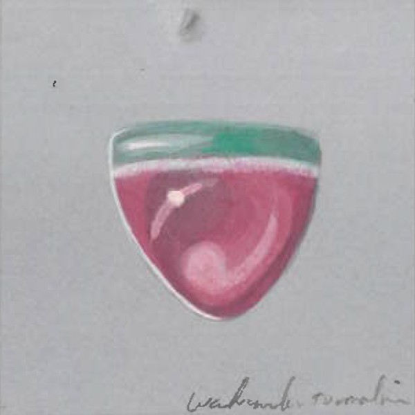 watermelon tourmaline illustration by Nelly Creative Studios